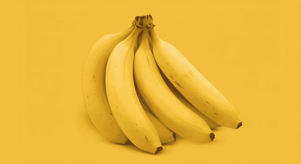 Banana fruit on a solid background,