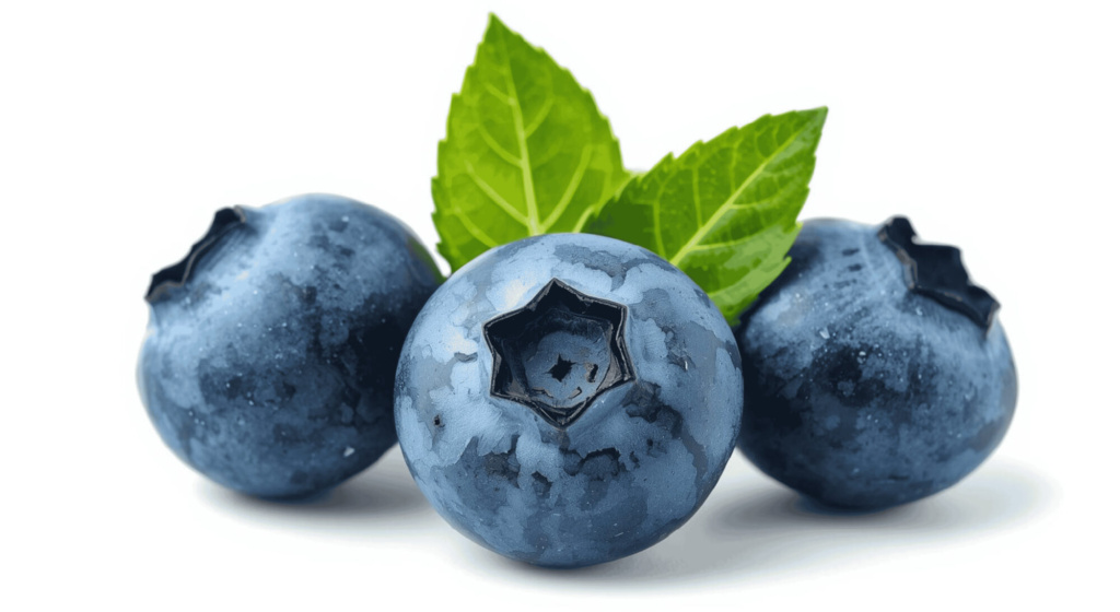 Fresh ripe blackberry fruit PNG with transparent background