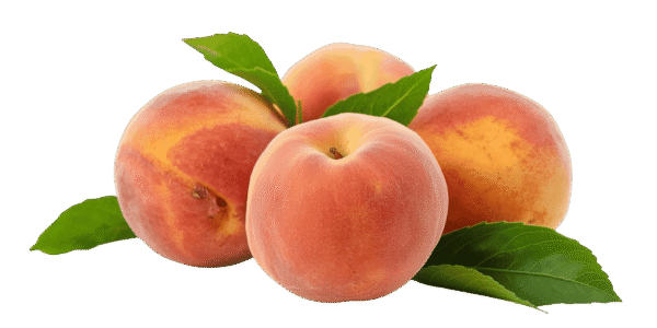 Two whole ripe peaches and one halved peach showing the pit and yellow flesh, resting on green leaves against a transparent background.