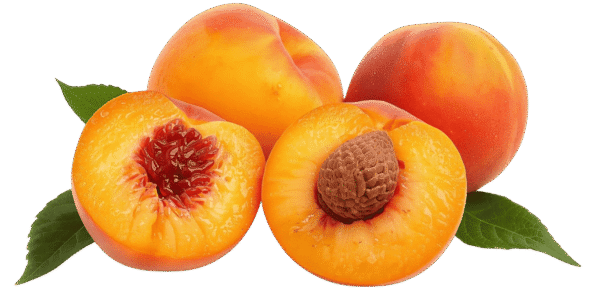Two whole ripe peaches and one halved peach showing the pit and yellow flesh, resting on green leaves against a transparent background.