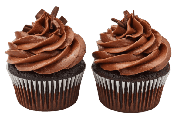 Two chocolate cupcakes with swirled chocolate frosting on transparent background