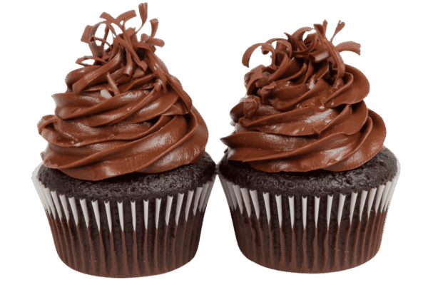 Two chocolate cupcakes with swirled chocolate frosting on transparent background