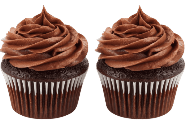 Two chocolate cupcakes with swirled chocolate frosting on transparent background