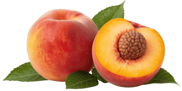 Two whole ripe peaches and one halved peach showing the pit and yellow flesh, resting on green leaves against a transparent background.