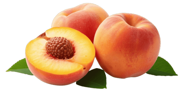 Two whole ripe peaches and one halved peach showing the pit and yellow flesh, resting on green leaves against a transparent background.