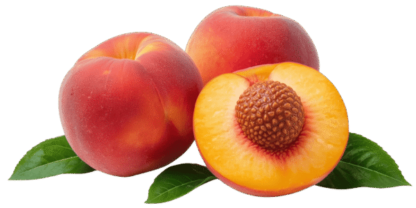 Two whole ripe peaches and one halved peach showing the pit and yellow flesh, resting on green leaves against a transparent background.