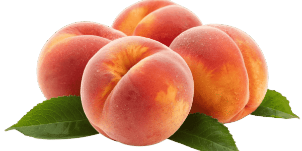 Two whole ripe peaches and one halved peach showing the pit and yellow flesh, resting on green leaves against a transparent background.