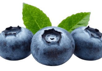 Fresh ripe blackberry fruit PNG with transparent background