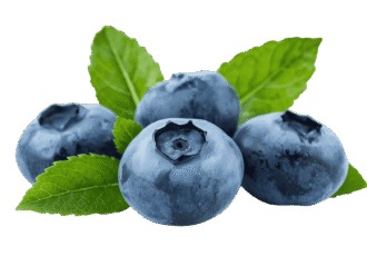 Fresh ripe blackberry fruit PNG with transparent background