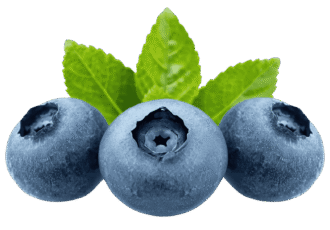 Fresh ripe blackberry fruit PNG with transparent background