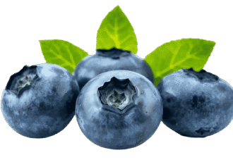 Fresh ripe blackberry fruit PNG with transparent background