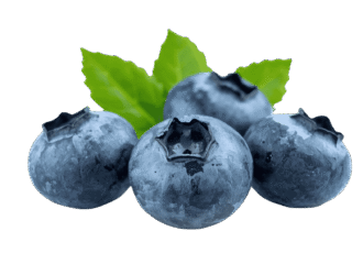 Fresh ripe blackberry fruit PNG with transparent background
