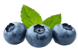 Fresh ripe blackberry fruit PNG with transparent background