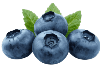 Fresh ripe blackberry fruit PNG with transparent background