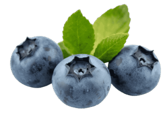 Fresh ripe blackberry fruit PNG with transparent background