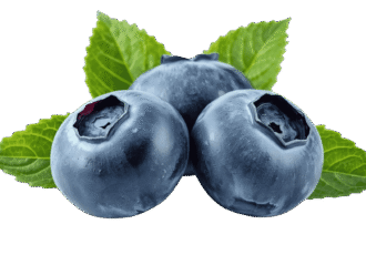 Fresh ripe blackberry fruit PNG with transparent background