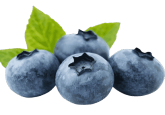 Fresh ripe blackberry fruit PNG with transparent background