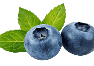 Fresh ripe blackberry fruit PNG with transparent background