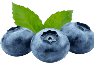 Fresh ripe blackberry fruit PNG with transparent background