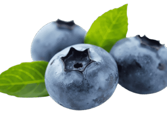 Fresh ripe blackberry fruit PNG with transparent background