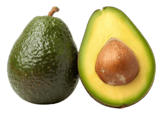 avocado PNG free download